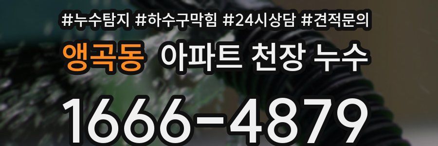 앵곡동 아파트 천장 누수