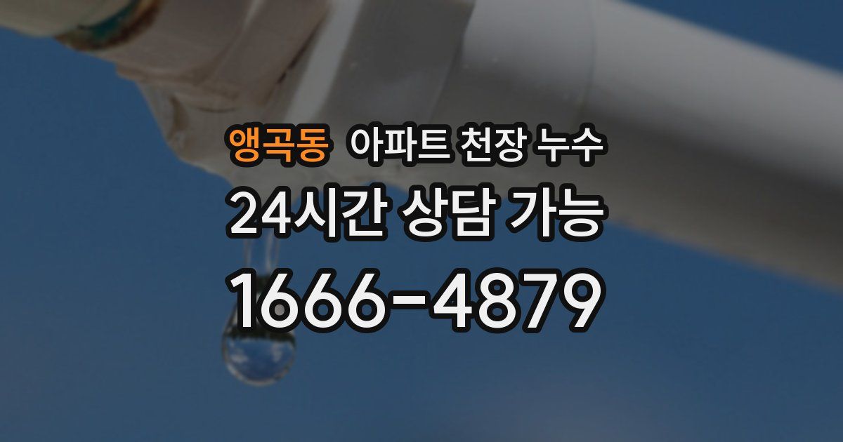 앵곡동 아파트 천장 누수