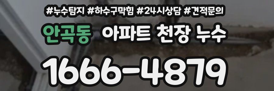 안곡동 아파트 천장 누수