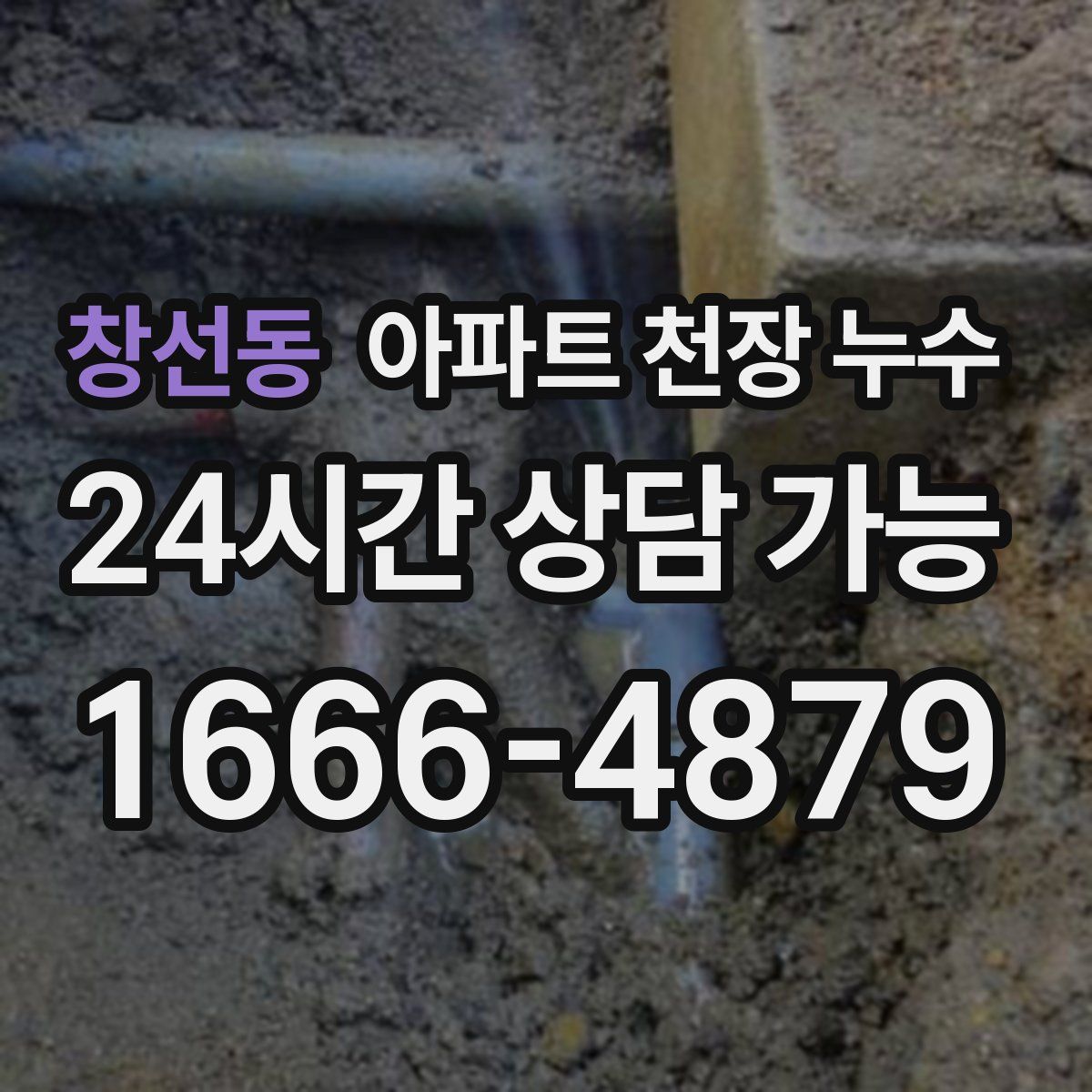 창선동 아파트 천장 누수