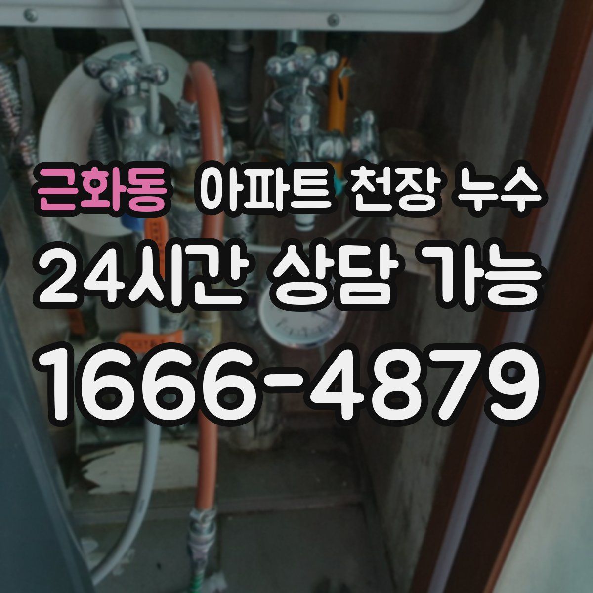 근화동 아파트 천장 누수