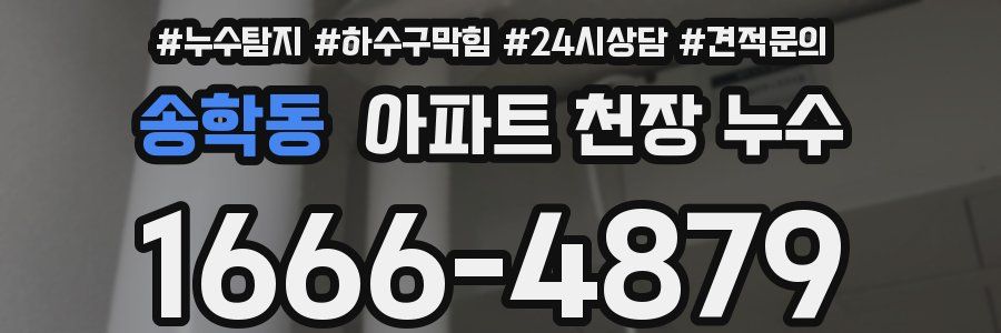 송학동 아파트 천장 누수