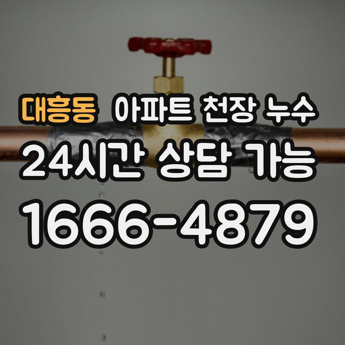 대흥동 아파트 천장 누수