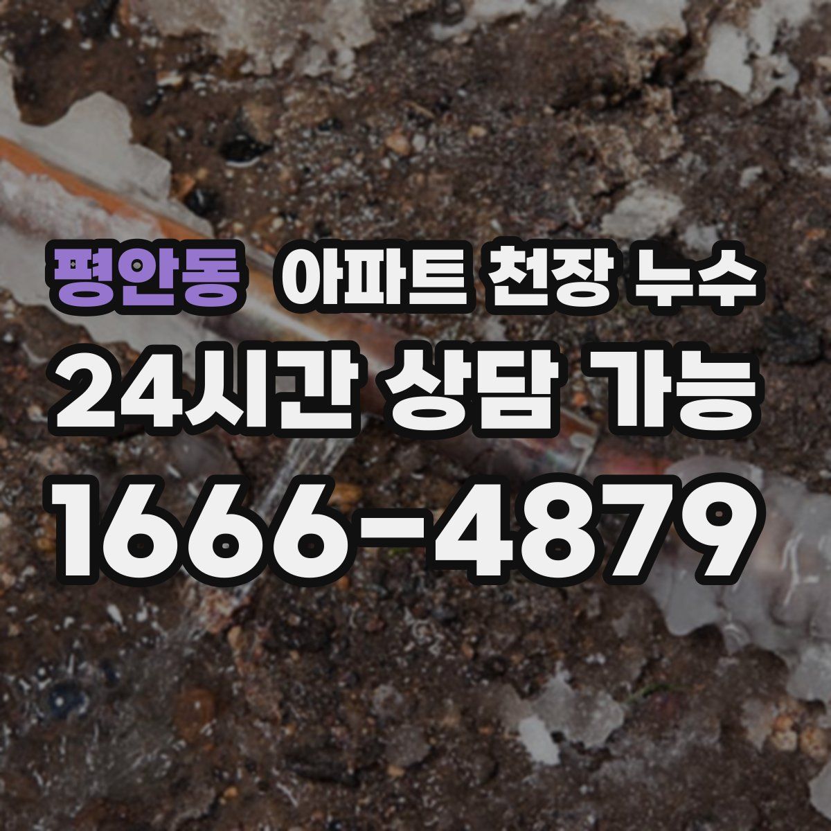 평안동 아파트 천장 누수