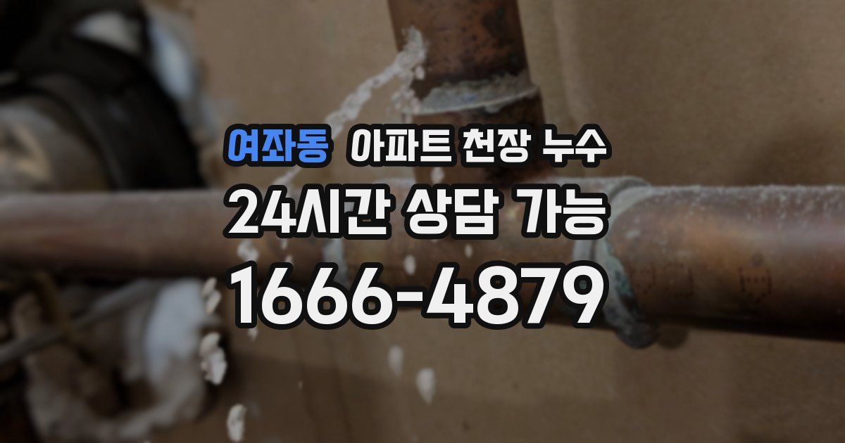 여좌동 아파트 천장 누수
