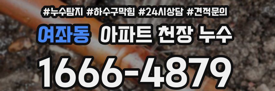 여좌동 아파트 천장 누수