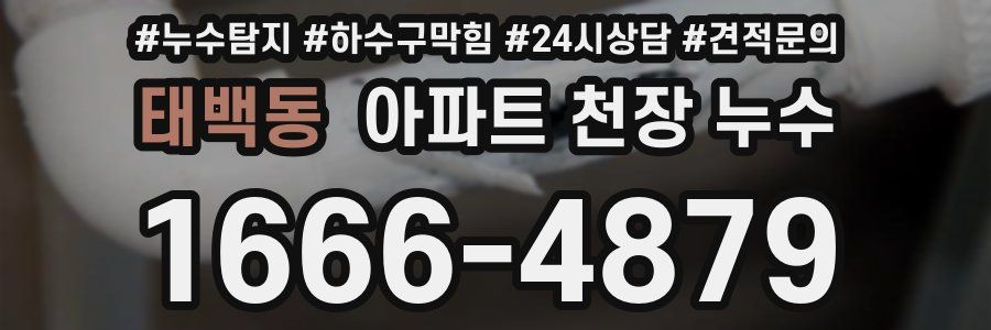 태백동 아파트 천장 누수