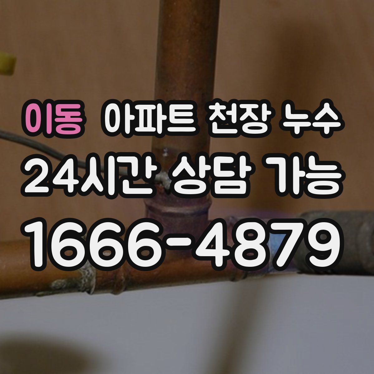 이동 아파트 천장 누수