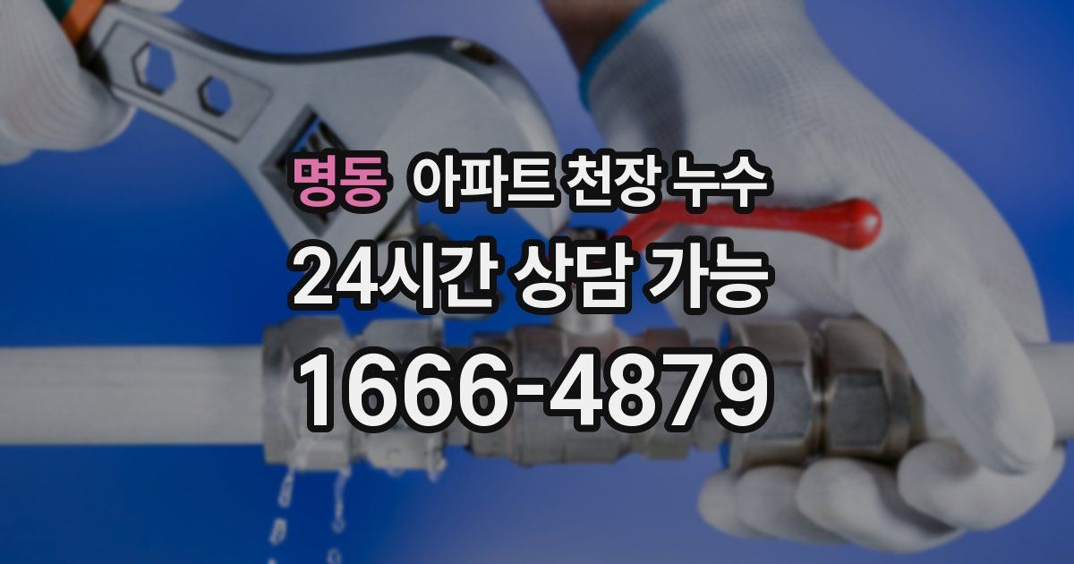 명동 아파트 천장 누수