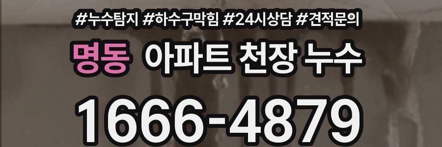 명동 아파트 천장 누수