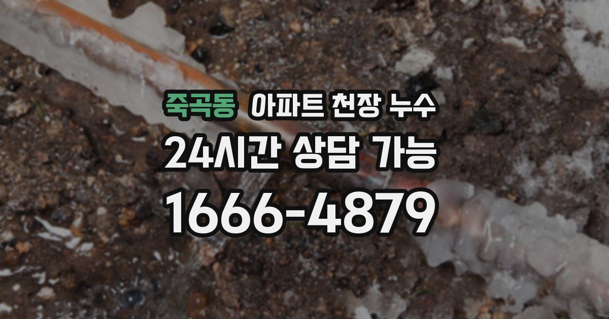 죽곡동 아파트 천장 누수