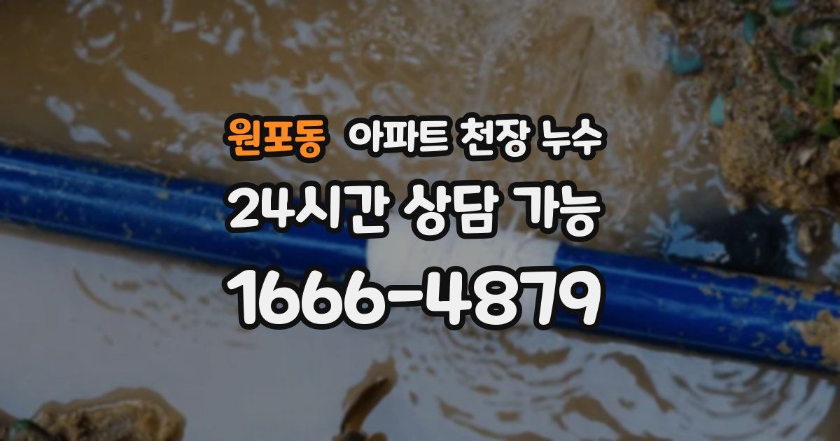 원포동 아파트 천장 누수
