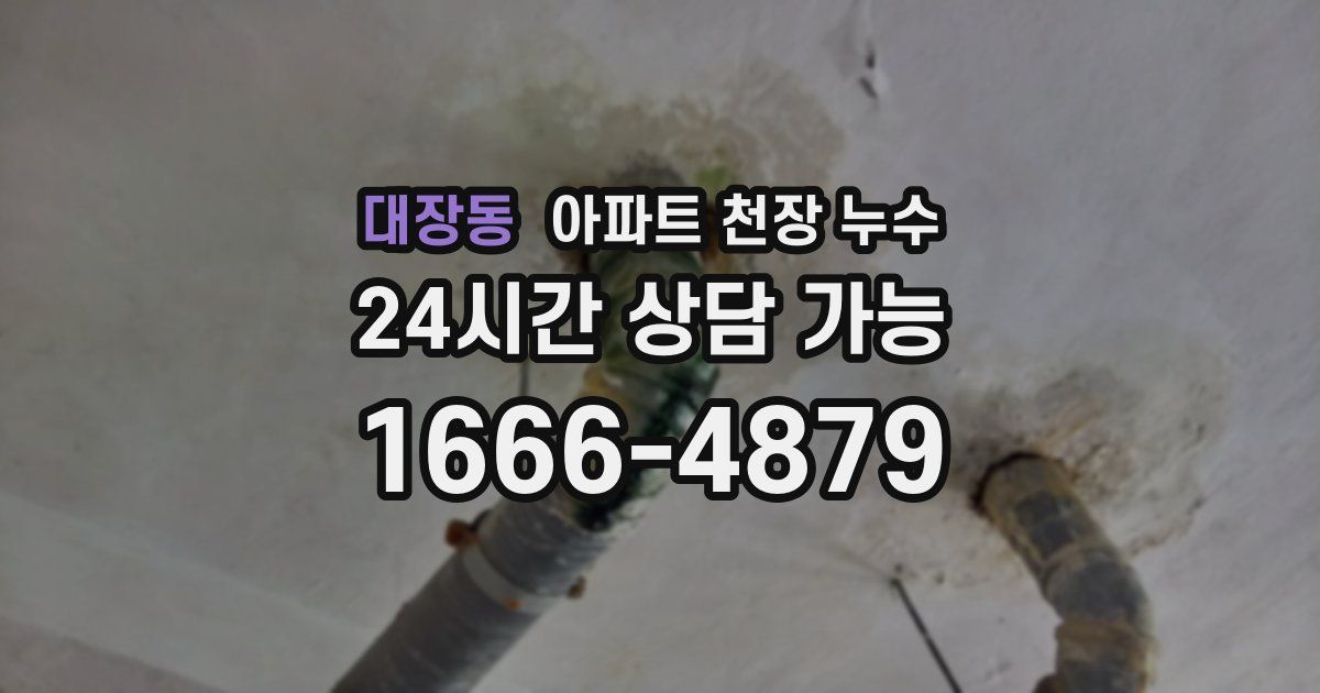 대장동 아파트 천장 누수