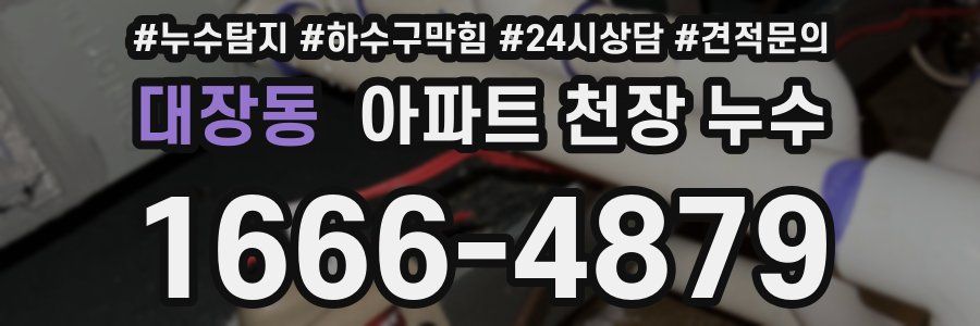 대장동 아파트 천장 누수