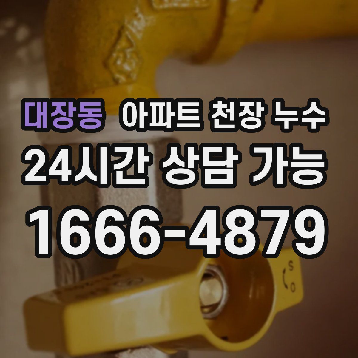 대장동 아파트 천장 누수