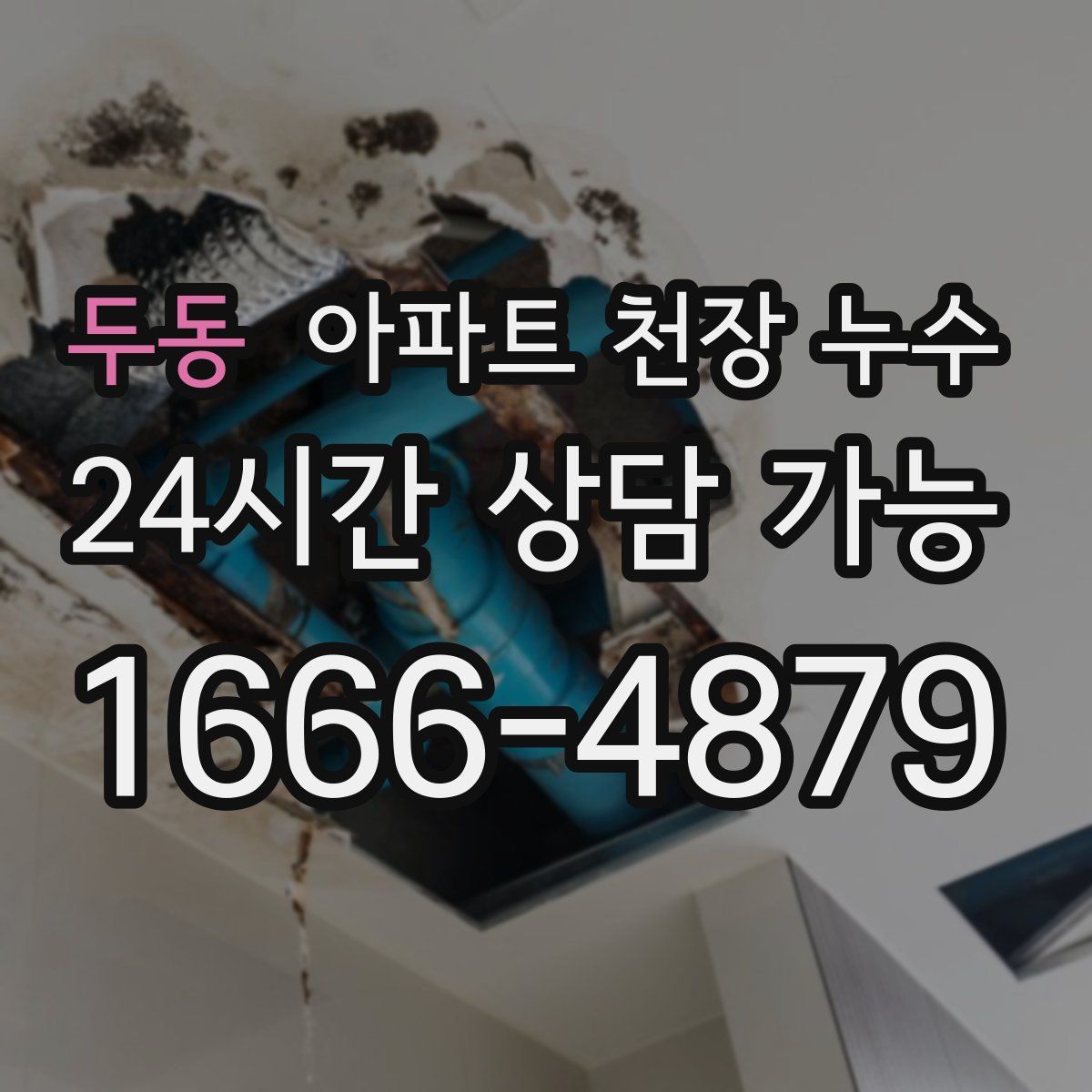 두동 아파트 천장 누수