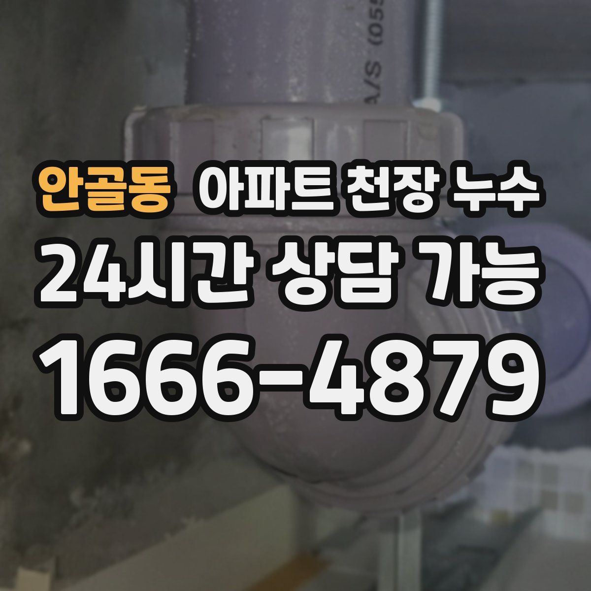 안골동 아파트 천장 누수