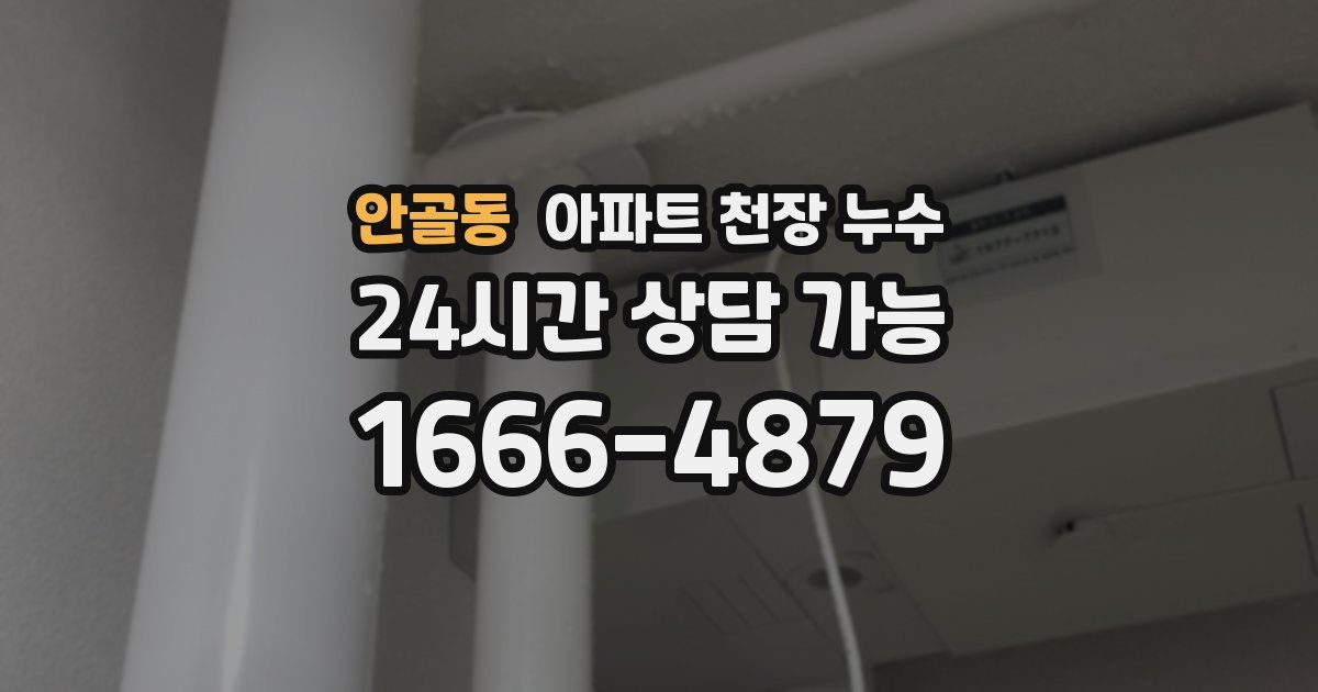 안골동 아파트 천장 누수
