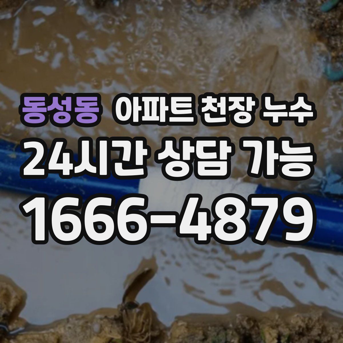 동성동 아파트 천장 누수