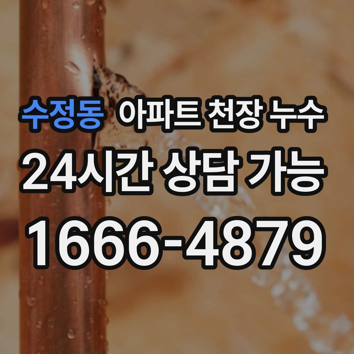 수정동 아파트 천장 누수