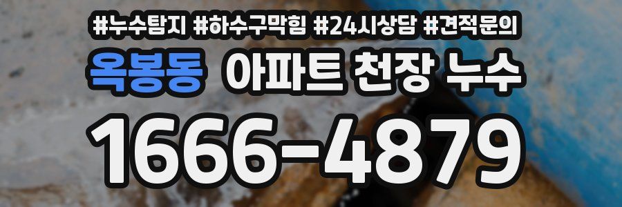 옥봉동 아파트 천장 누수
