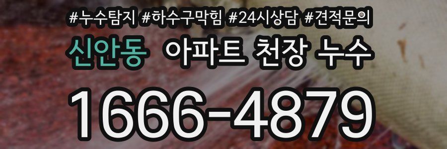 신안동 아파트 천장 누수
