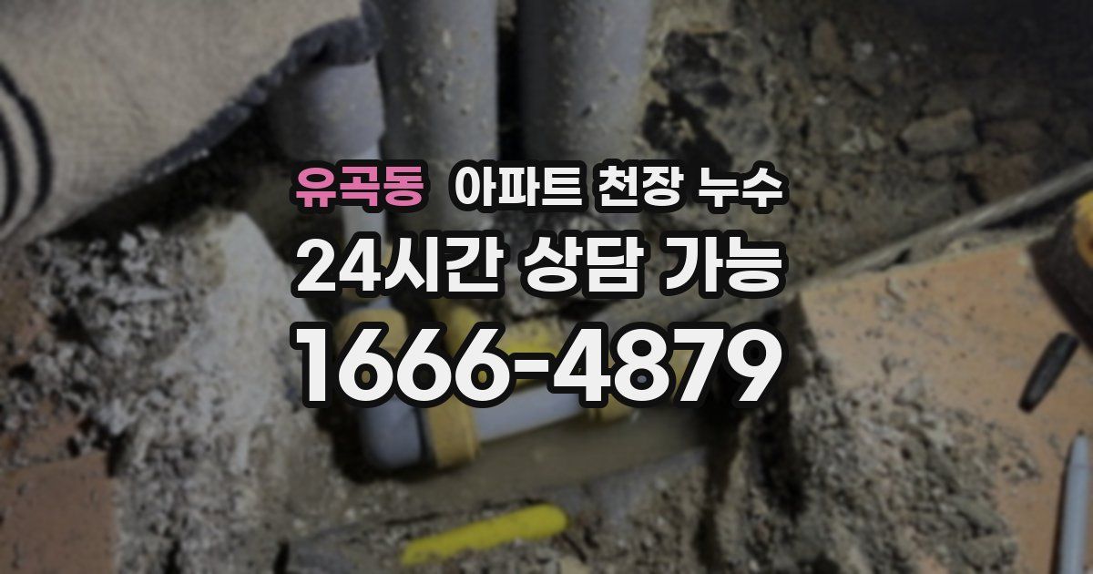 유곡동 아파트 천장 누수