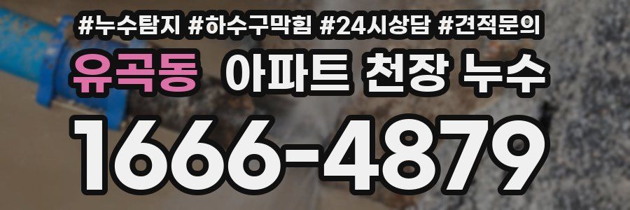 유곡동 아파트 천장 누수
