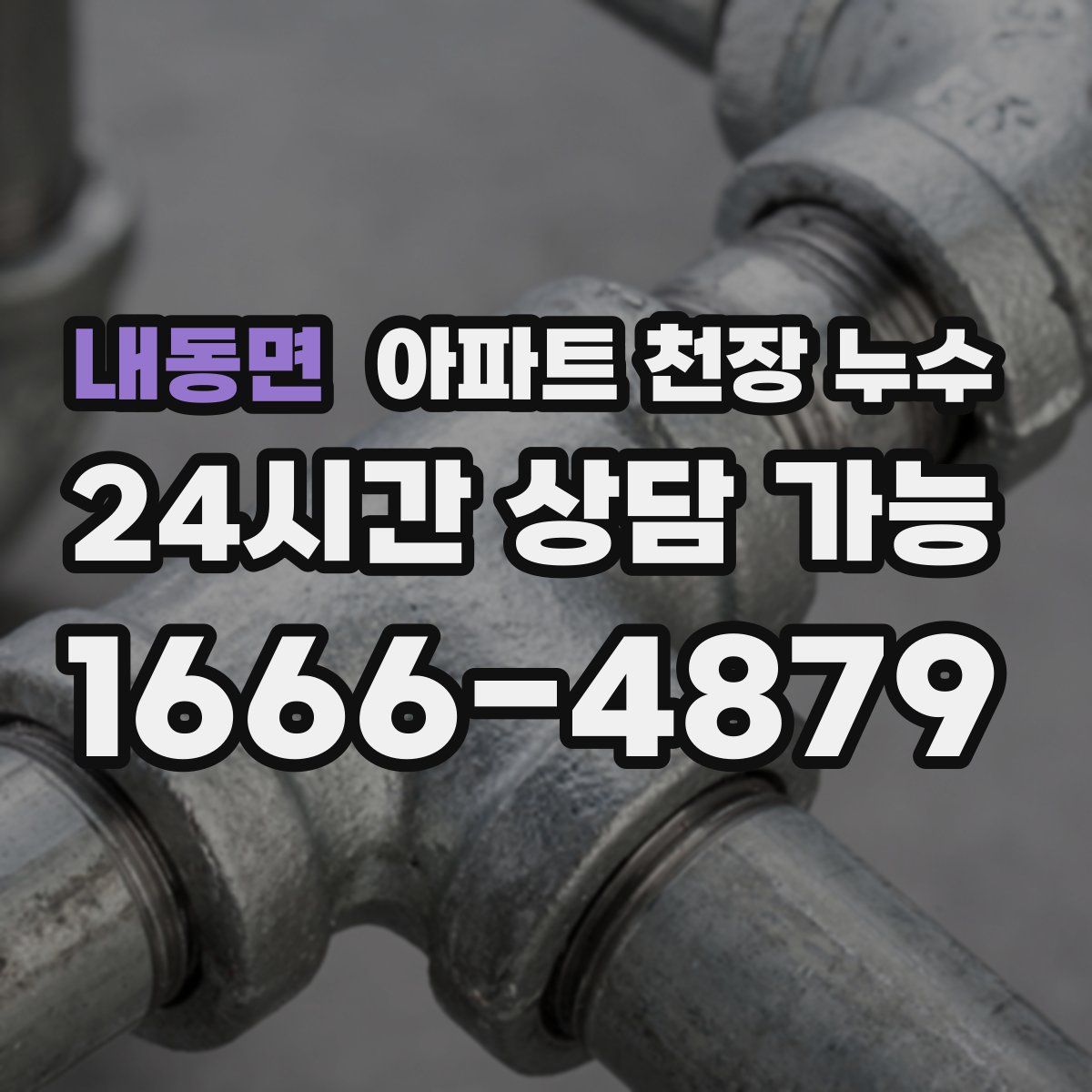 내동면 아파트 천장 누수