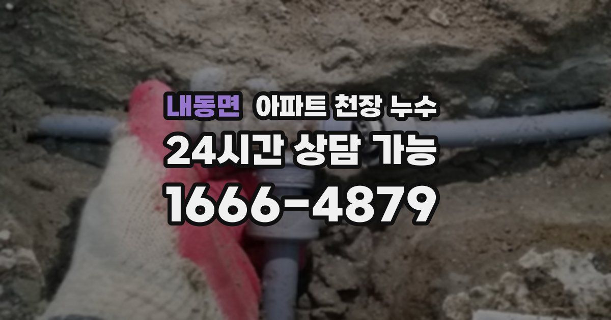 내동면 아파트 천장 누수