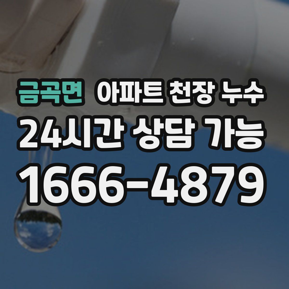 금곡면 아파트 천장 누수