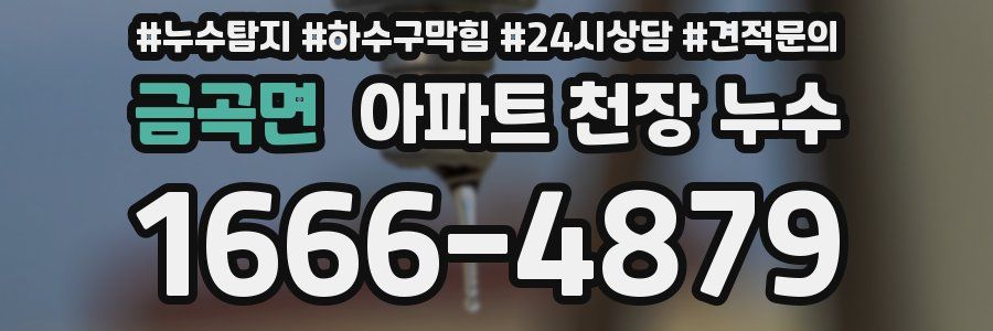 금곡면 아파트 천장 누수