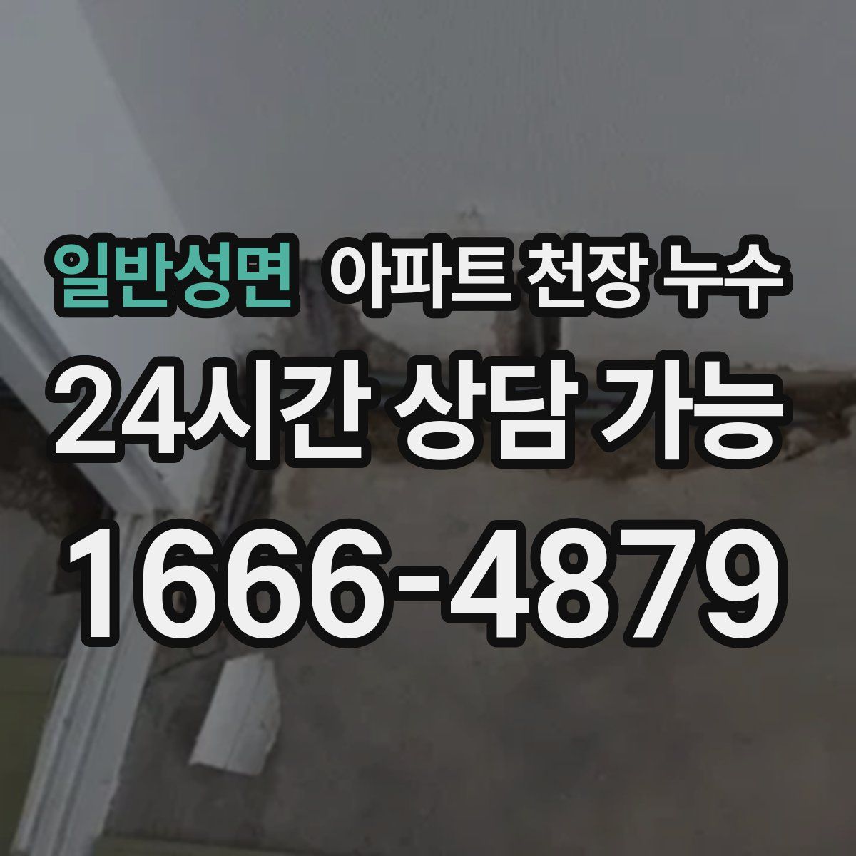 일반성면 아파트 천장 누수