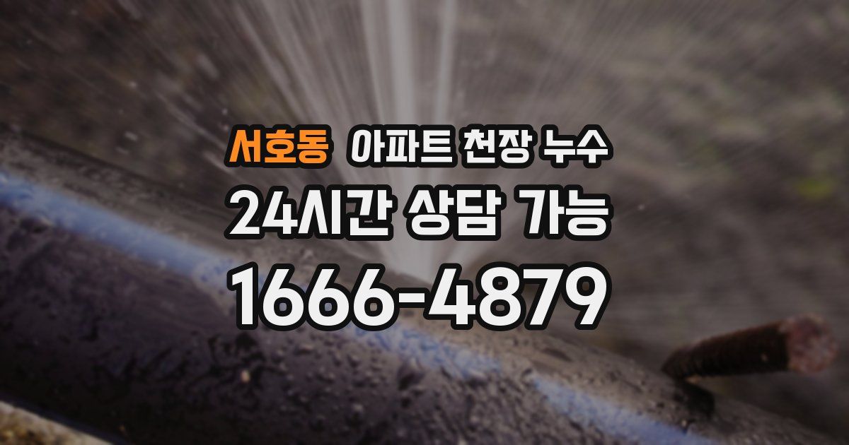 서호동 아파트 천장 누수