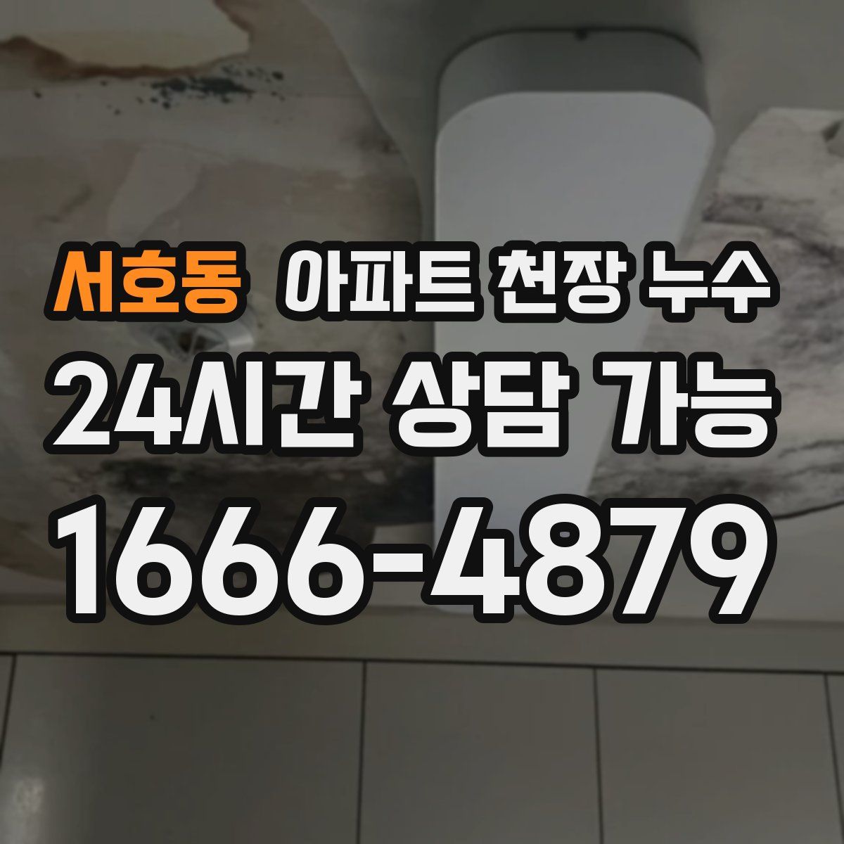 서호동 아파트 천장 누수