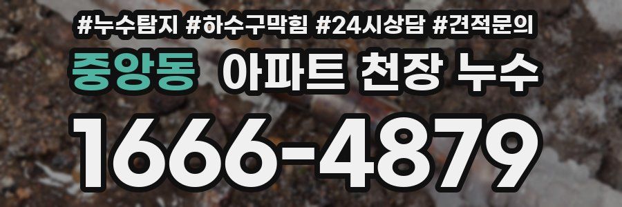중앙동 아파트 천장 누수
