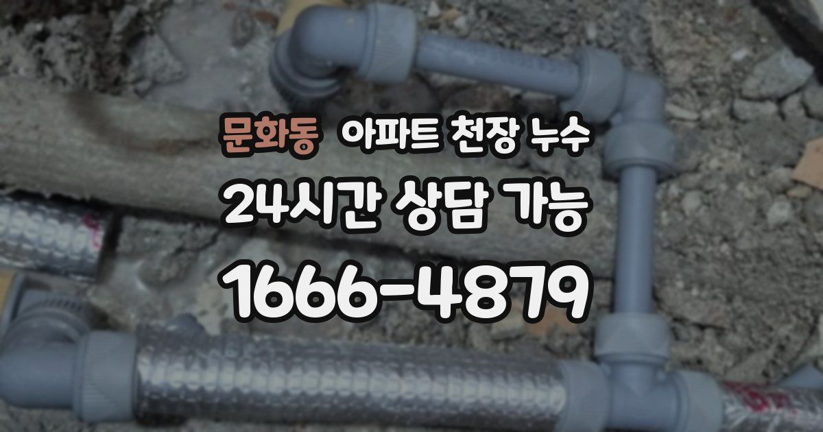 문화동 아파트 천장 누수
