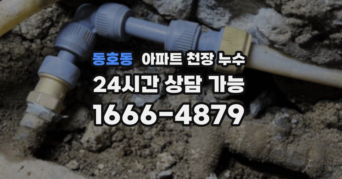 동호동 아파트 천장 누수