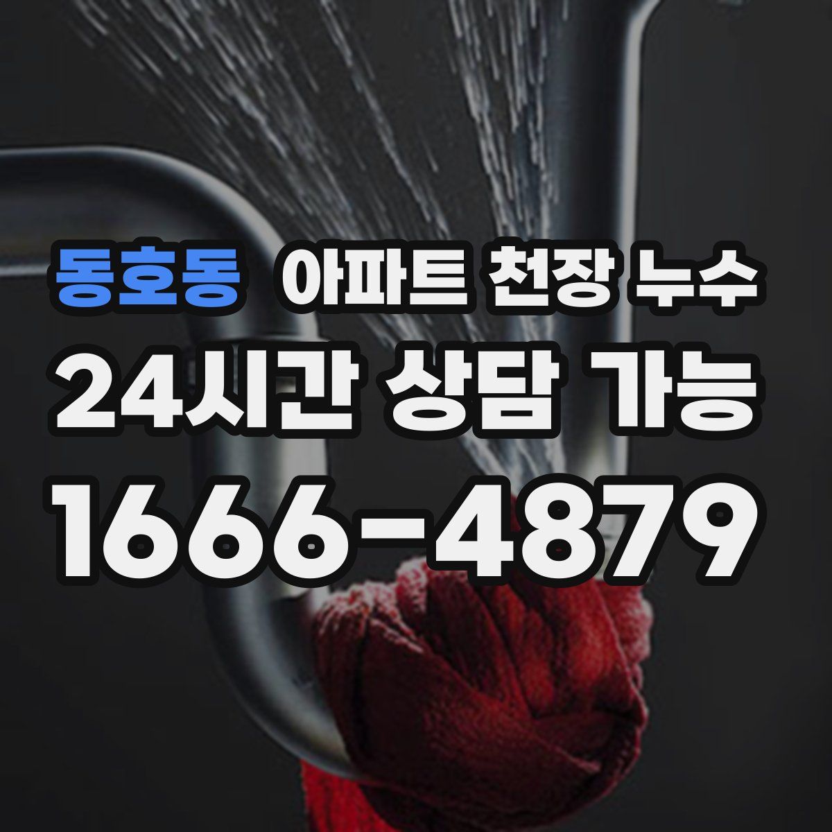 동호동 아파트 천장 누수
