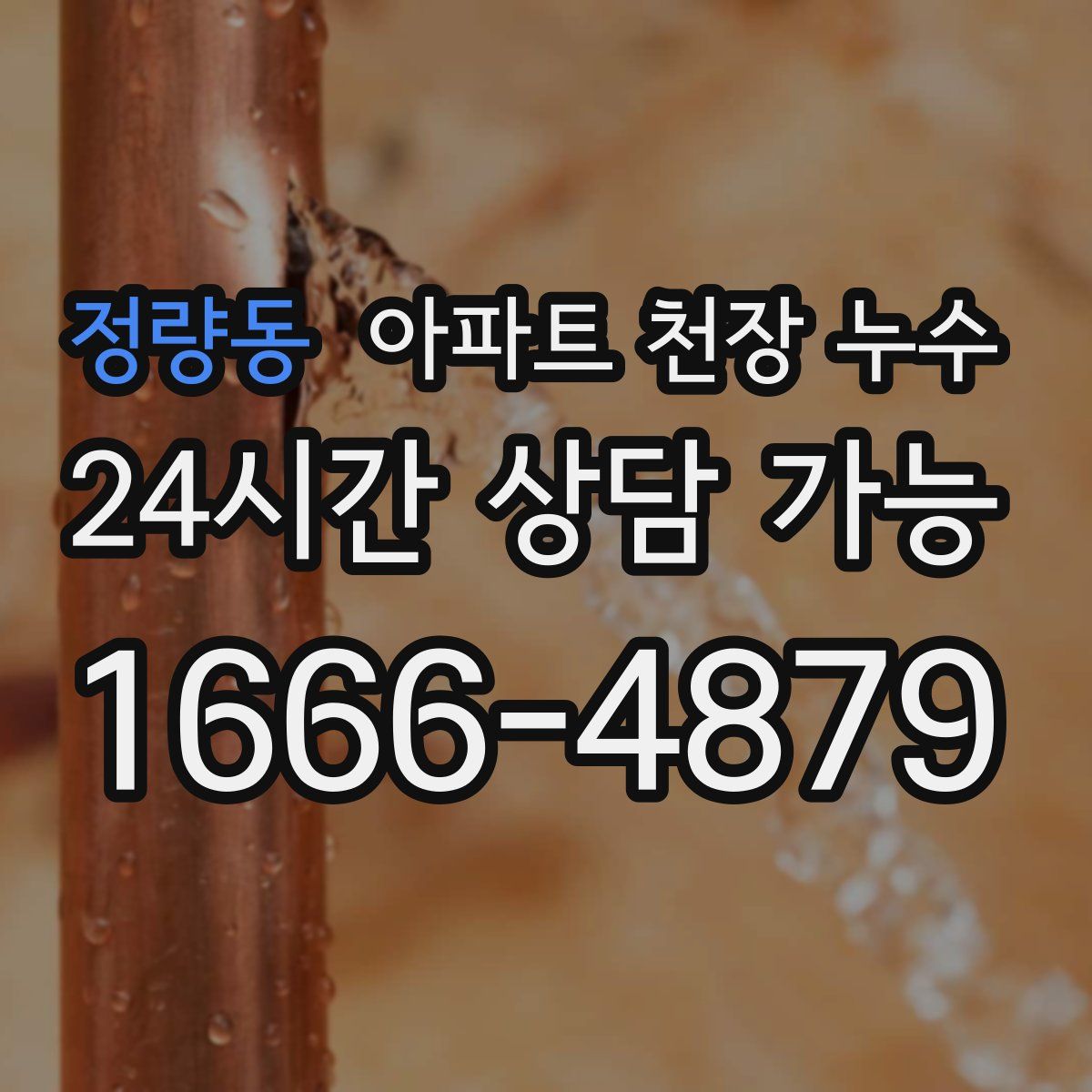 정량동 아파트 천장 누수