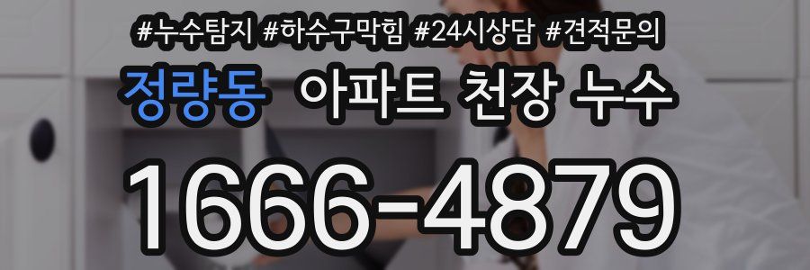 정량동 아파트 천장 누수