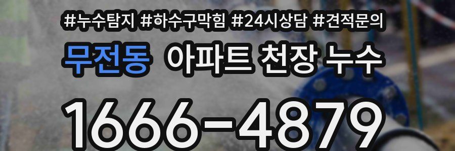무전동 아파트 천장 누수