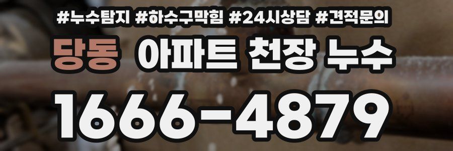 당동 아파트 천장 누수