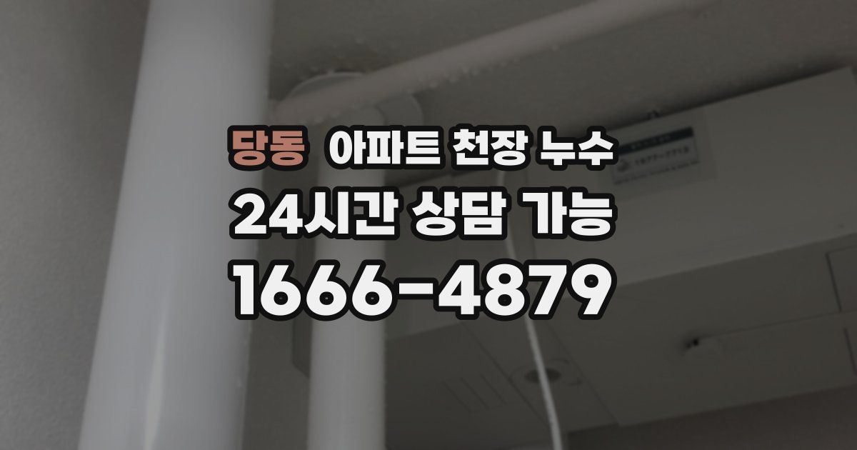 당동 아파트 천장 누수