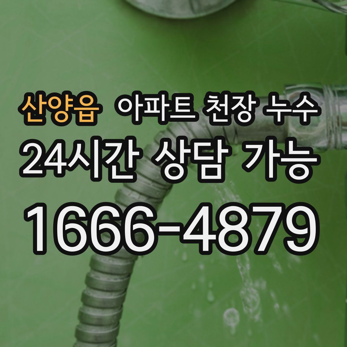 산양읍 아파트 천장 누수