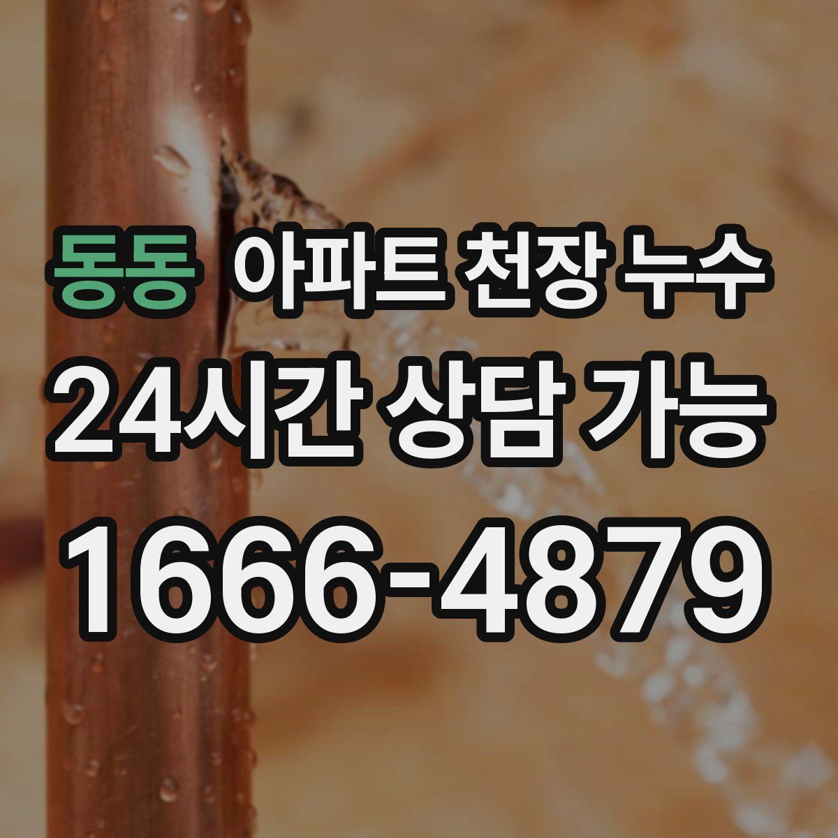 동동 아파트 천장 누수