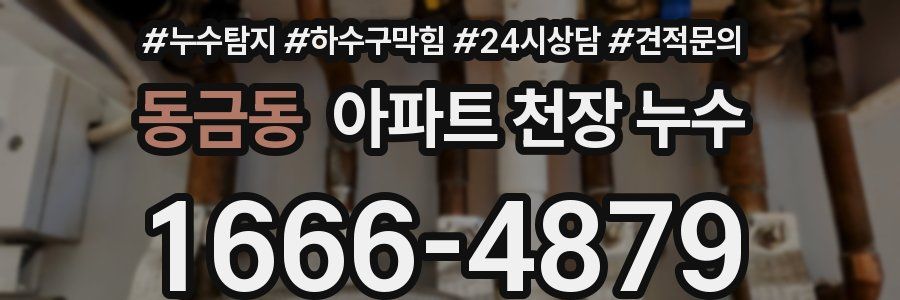 동금동 아파트 천장 누수