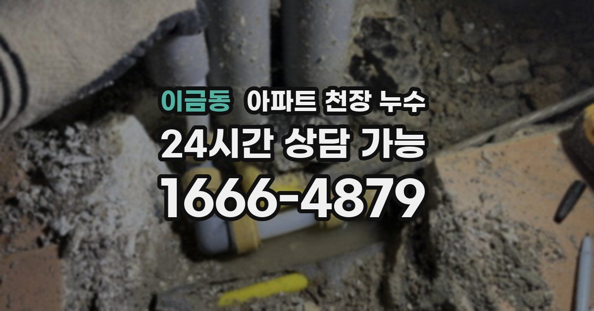 이금동 아파트 천장 누수