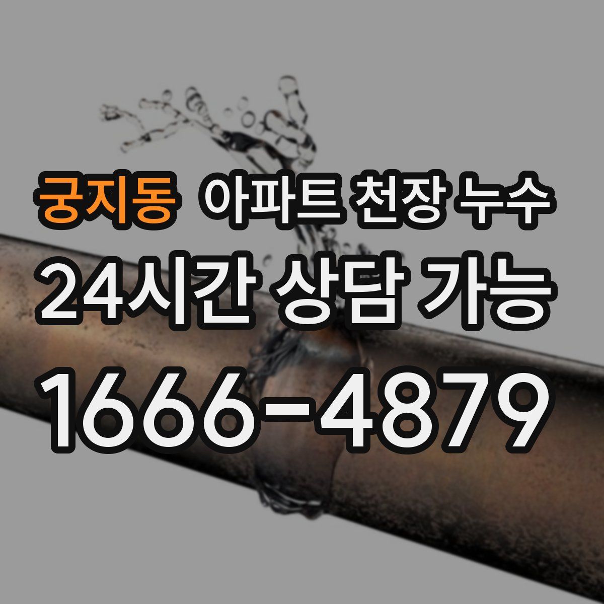 궁지동 아파트 천장 누수