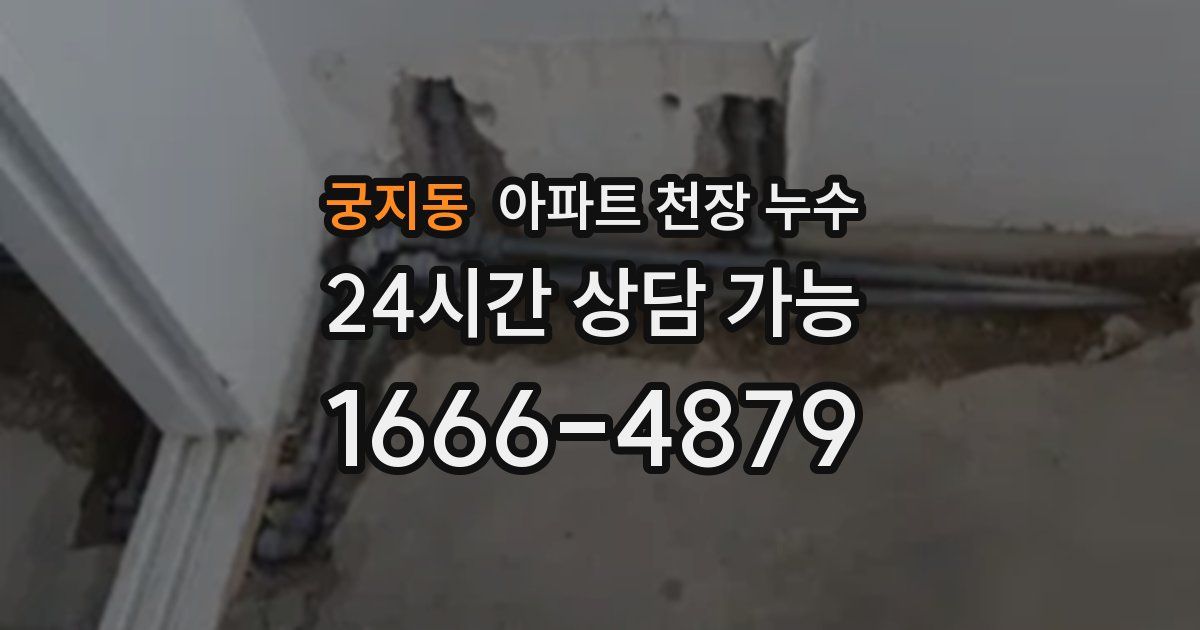 궁지동 아파트 천장 누수